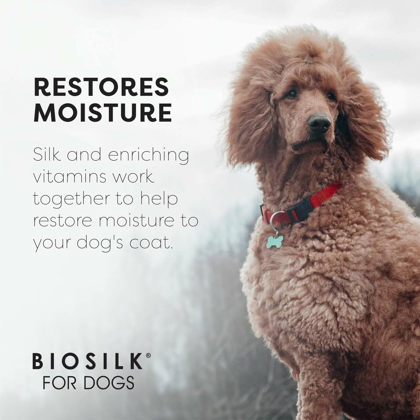 BioSilk Silk Therapy Dog Shampoo Organic Coconut Oil Beige 12 fl oz