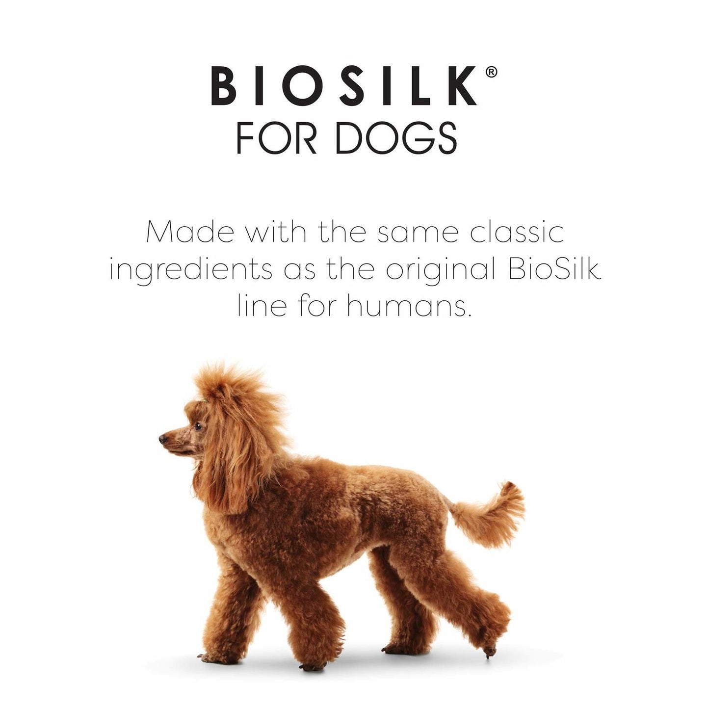 BioSilk Silk Therapy Dog Shampoo Organic Coconut Oil Beige 12 fl oz