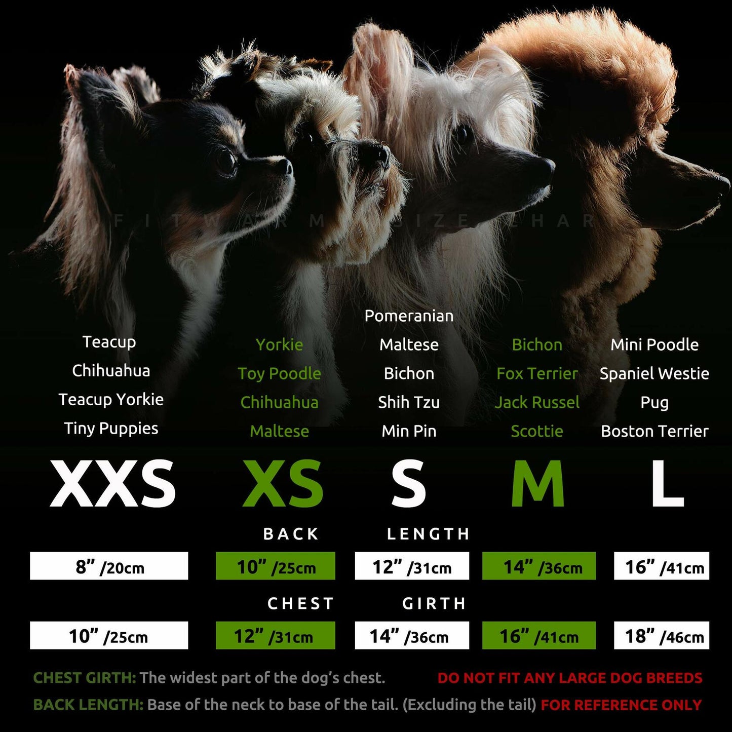 Fitwarm 100% Cotton Holiday Make A Wish Dog Dress Black Size XXS