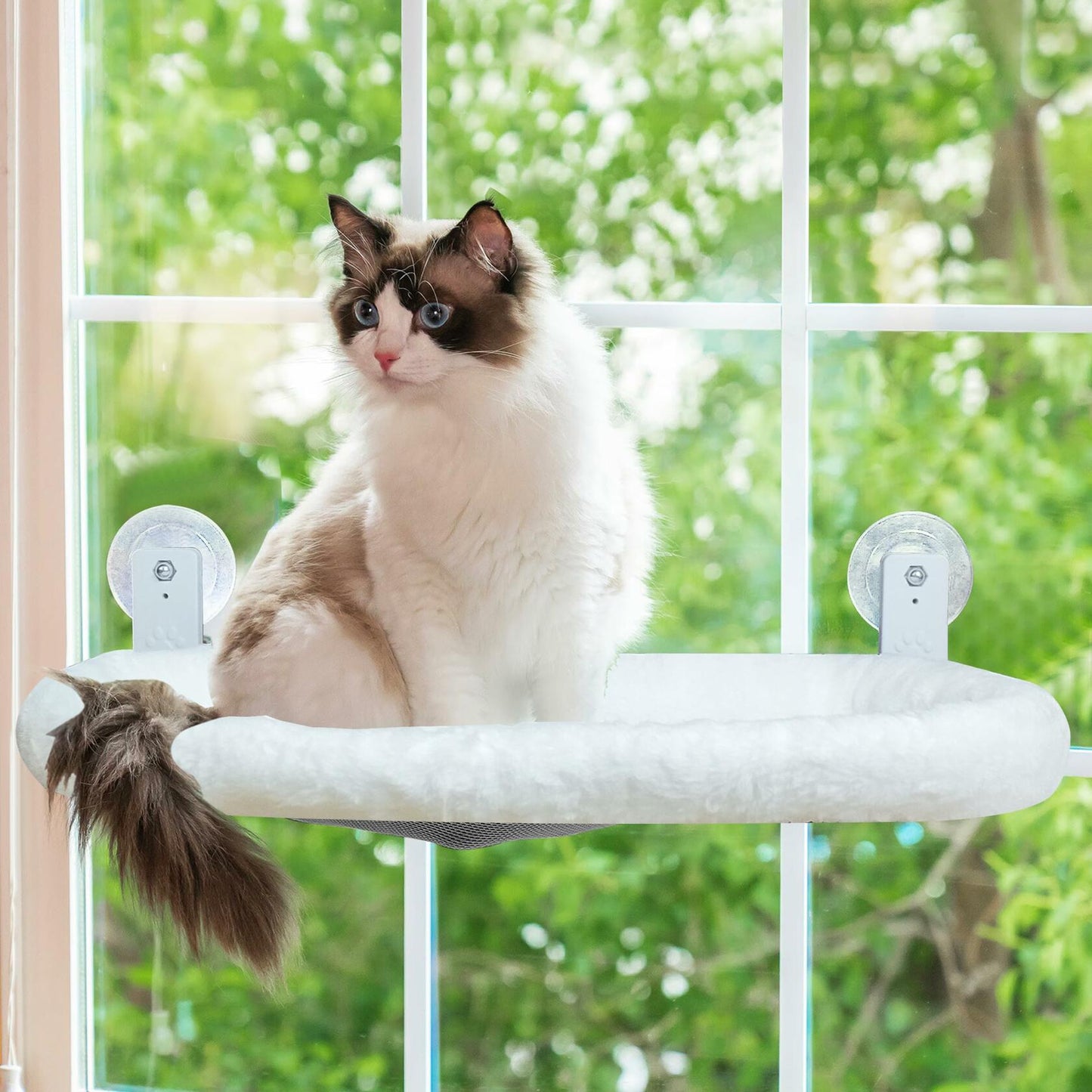 Wicify Foldable Cat Window Perch Cordless Hammock 4 Suction Cups Metal Frame