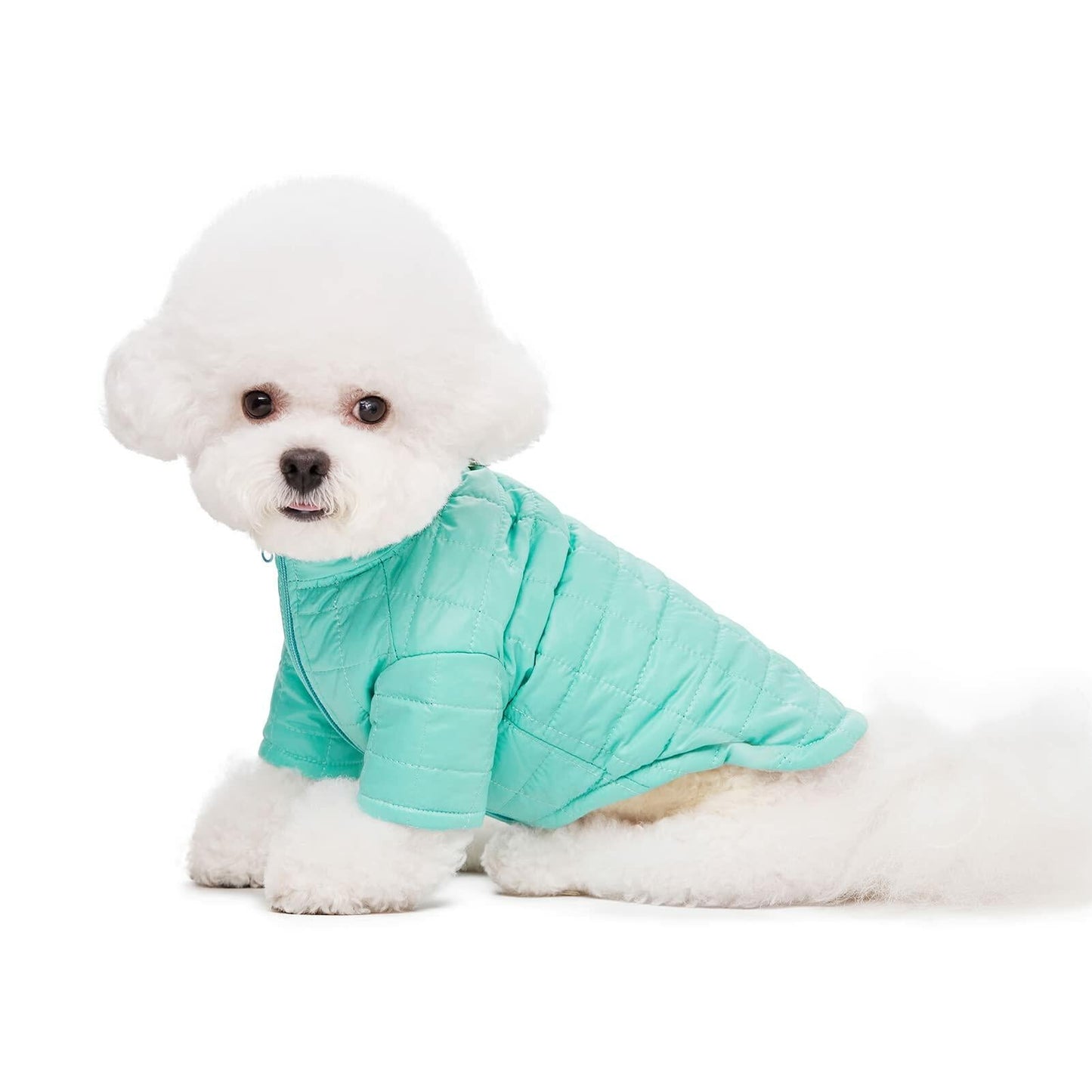 Miaododo Winter Dog Coat Windproof Cotton-Padded High Collar Size L- Black