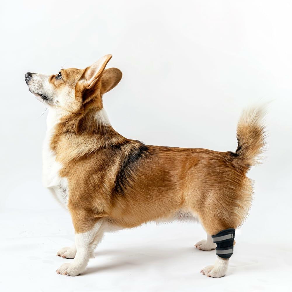 Dog Leg Brace Wrap Compression Sleeve with Metal Strips Size S