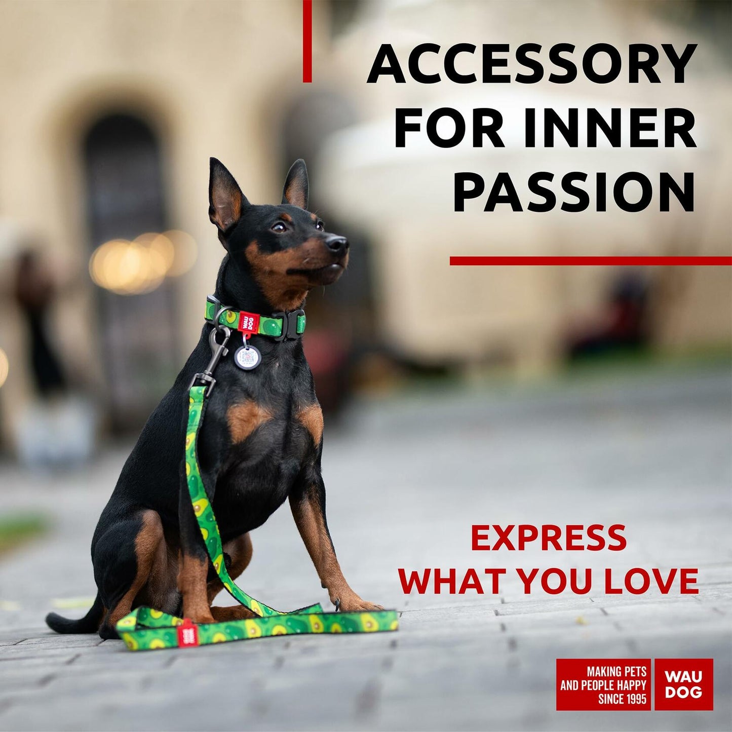 WAUDOG Nylon Dog Leash Heavy Duty 4 Ft for Small Medium Large Dogs