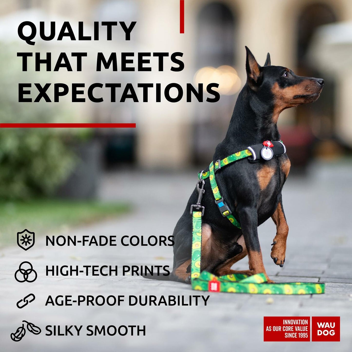 WAUDOG Nylon Dog Leash Heavy Duty 4 Ft for Small Medium Large Dogs