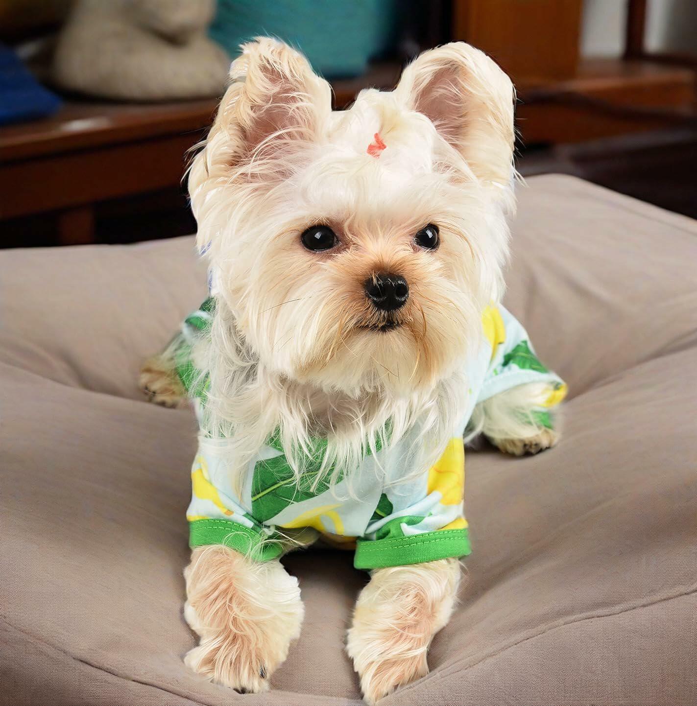 Dog Pajamas Small Chihuahua Yorkie Teacup Puppy Pjs Soft Clothes Size 2XL