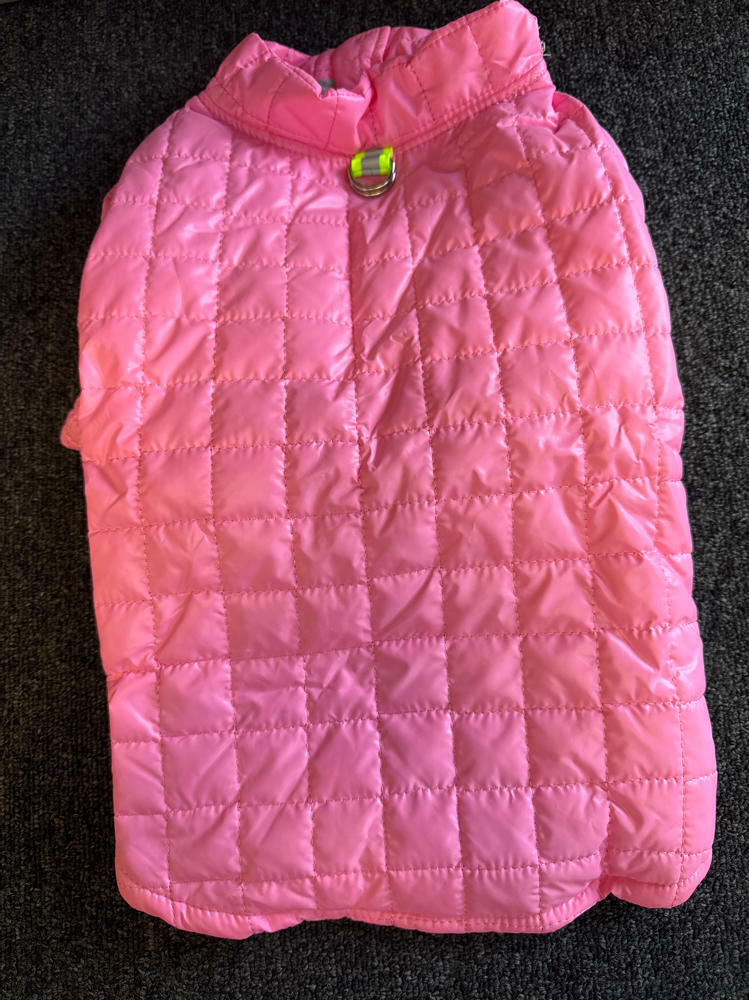 Miaododo Winter Dog Coat Hooded Cotton-Padded Pink Size XXL