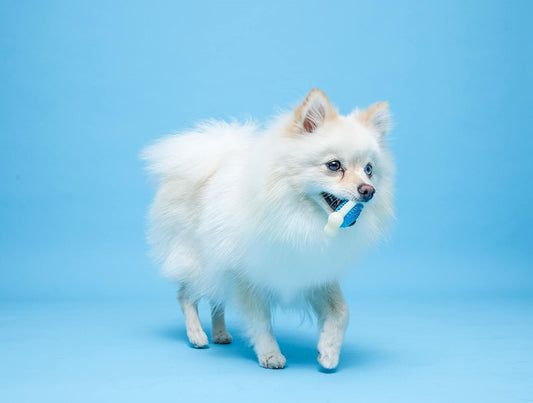 Hartz Chew n Clean Tuff Bone Bacon Scented Dental Dog Chew Toy