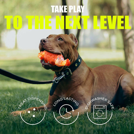 Dog Chew Toy Interactive Dispensing