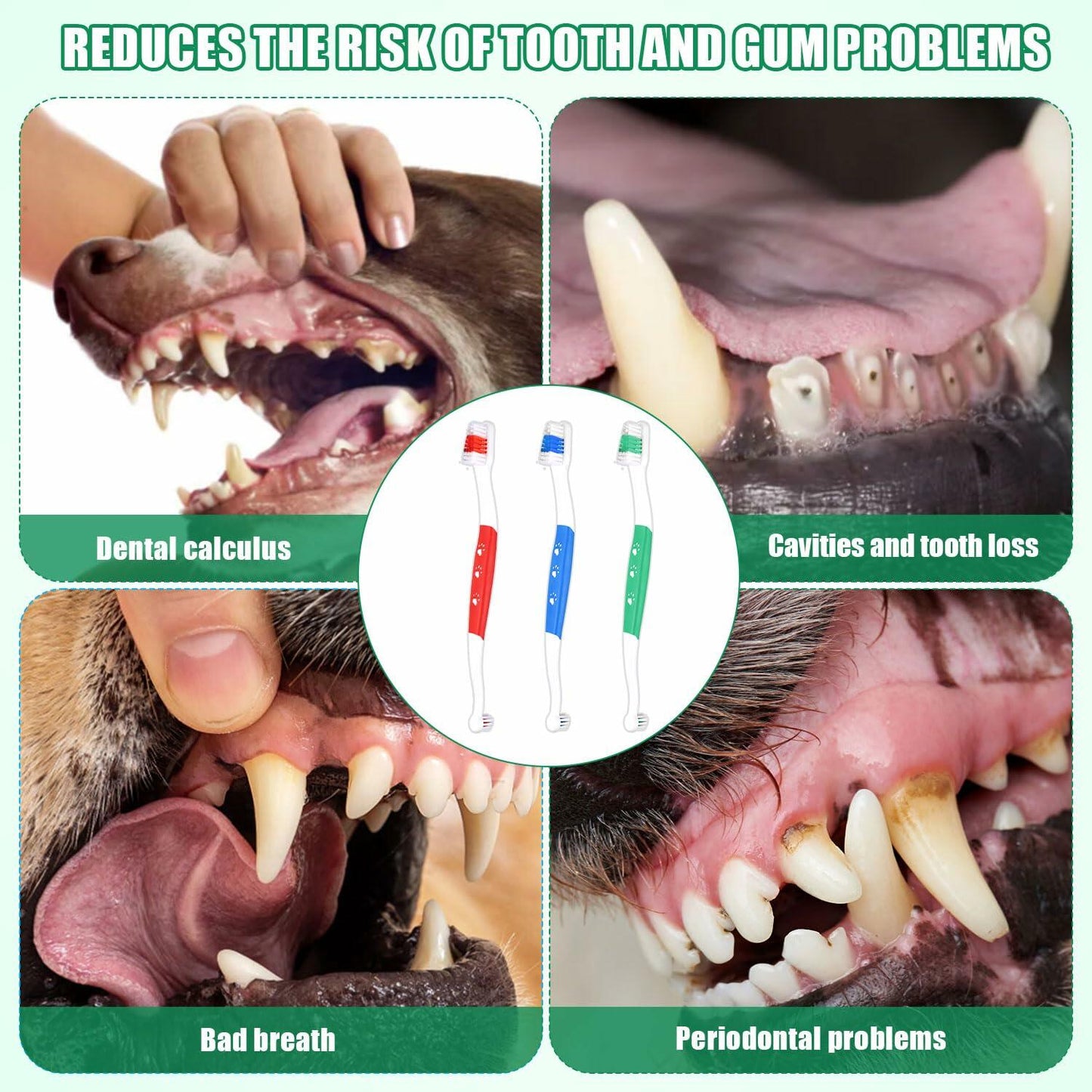 XIHIRCD 3pcs Dual Headed Pet Toothbrush Soft Bristles Dental Care Kit