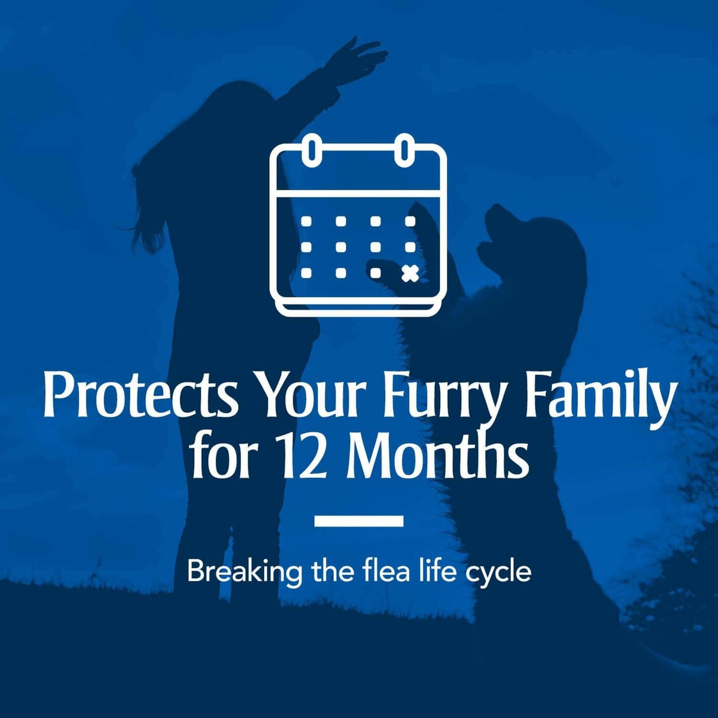 PETARMOR Home Carpet Powder Fleas Ticks Protection Deodorizer 16