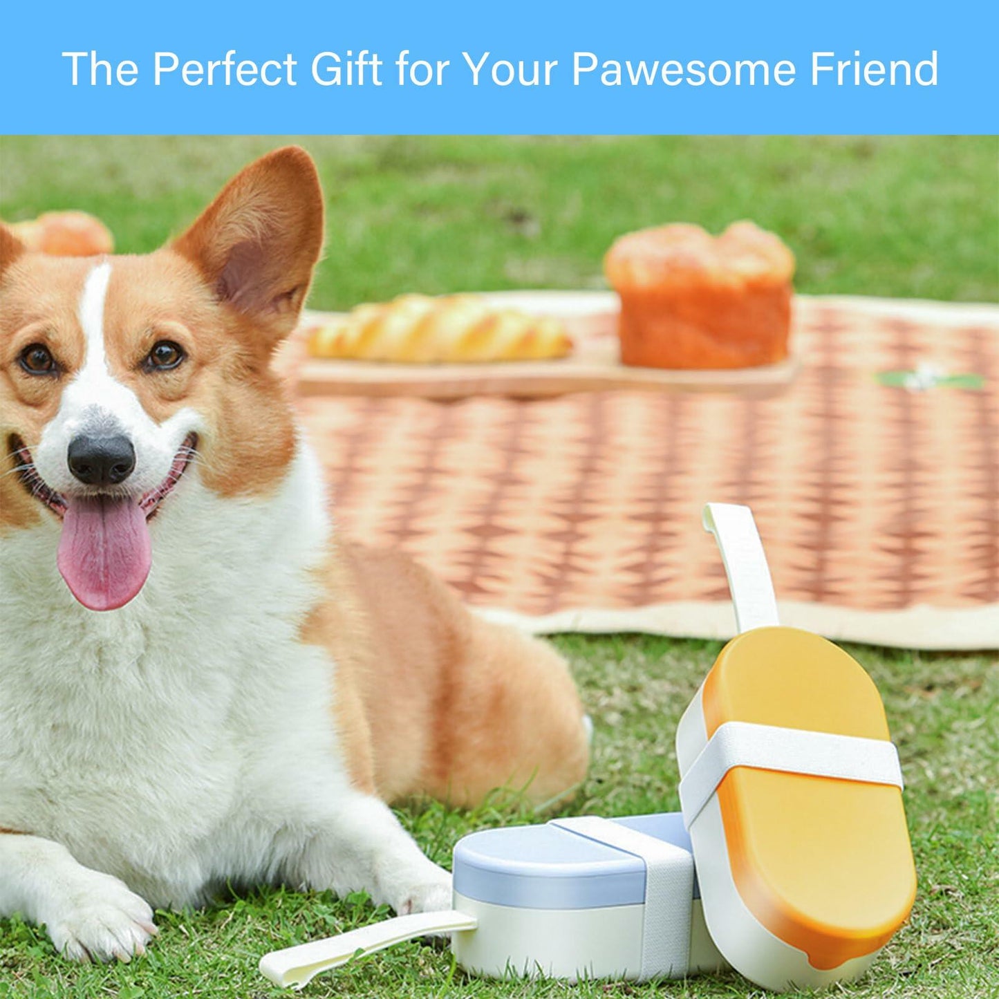 Maatouna Dog Water Bottle Foldable Leak-Proof Portable Outdoor