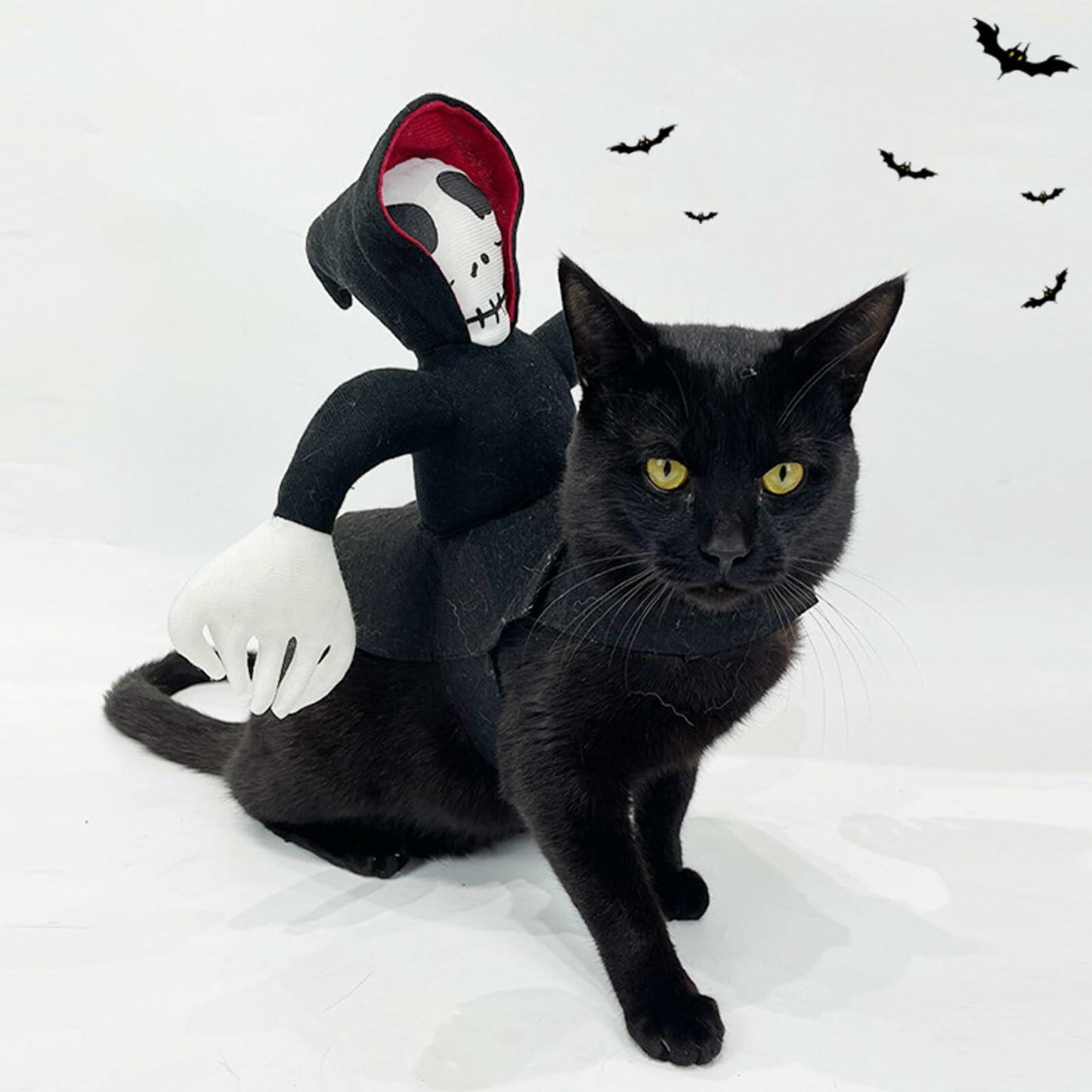 Dog Halloween Saddle Ghost Riding Costume