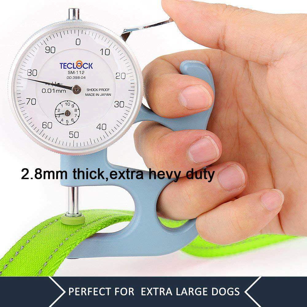 Plutus Pet Double Handle Dog Leash 6ft Heavy Duty Reflective