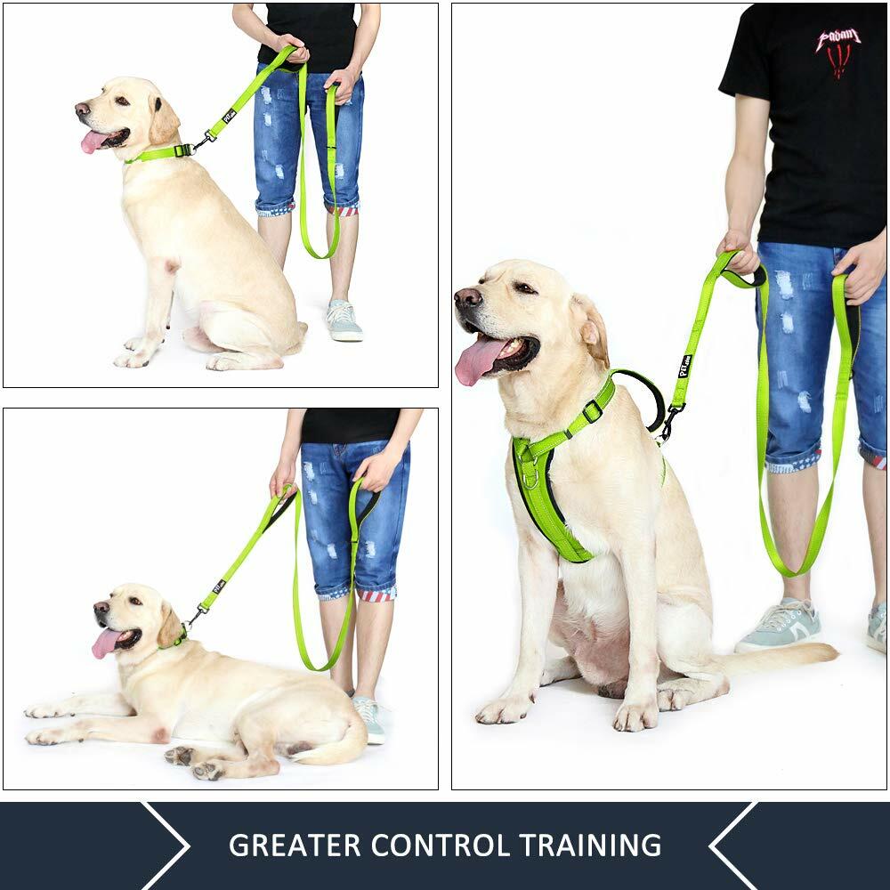 Plutus Pet Double Handle Dog Leash 6ft Heavy Duty Reflective