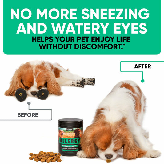 Dog Supplement-Kinpur Allergy Immune Support Soft Chews 180ct