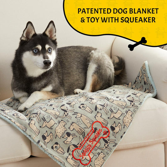 Squiggy Squeaks Dog  Cat Sleep Play Blanket Squeaky Toy 22x27in