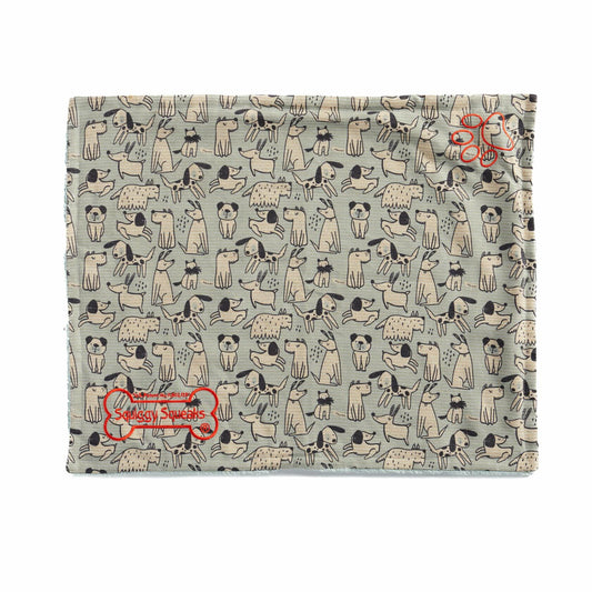 Squiggy Squeaks Dog  Cat Sleep Play Blanket Squeaky Toy 22x27in