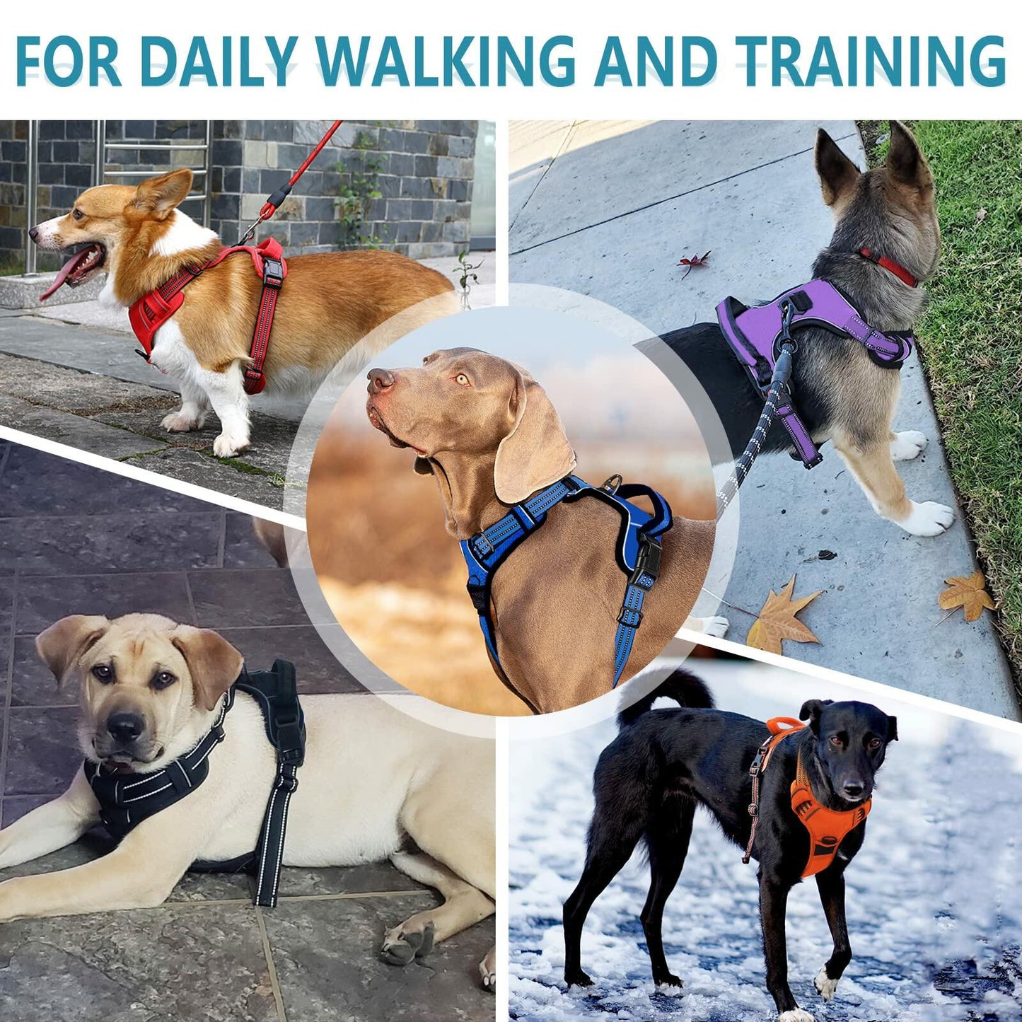 No Pull Dog Harness Adjustable Reflective Front Clip Padded Black