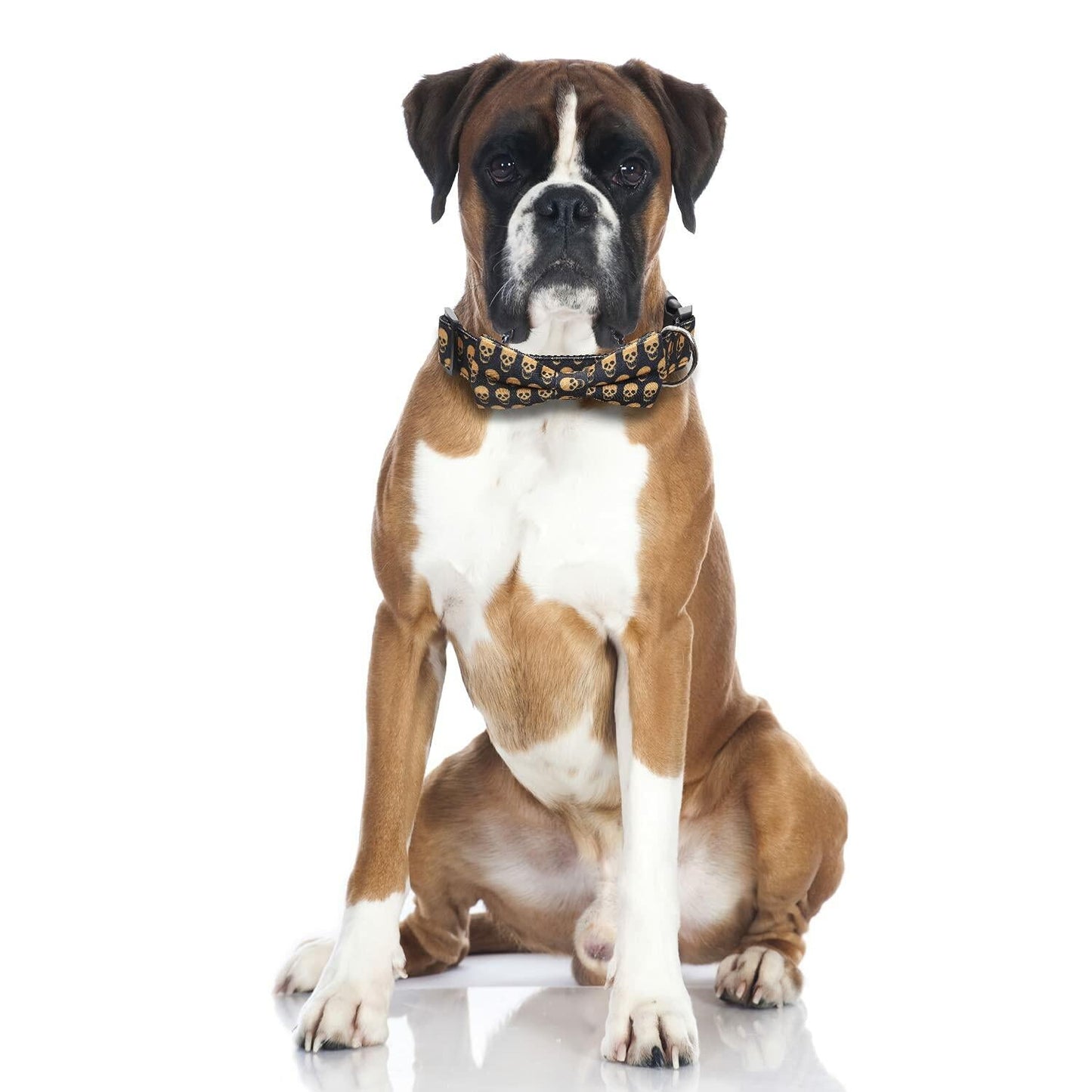 Lamphyface Halloween Dog Collar with Removable Cute Bow Tie