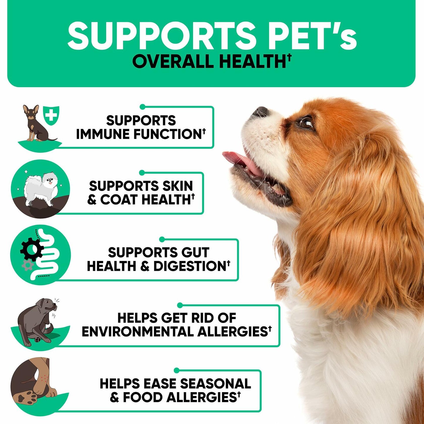 Dog Supplement-Kinpur Allergy Immune Support Soft Chews 180ct