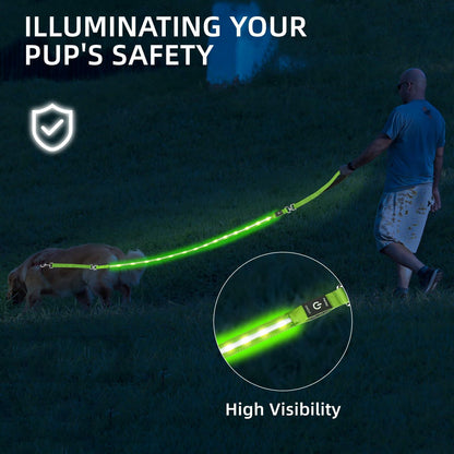 PetIsay Light-Up Dog Leash 6FT USB-C Rechargeable Waterproof
