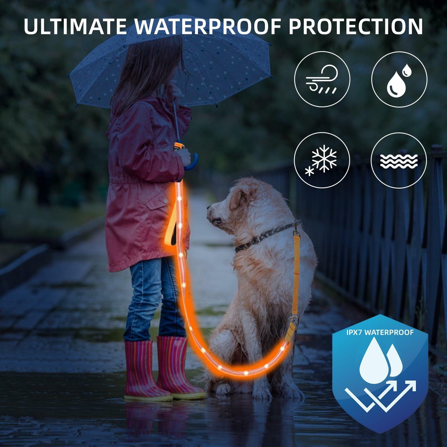 PetIsay Light-Up Dog Leash 6FT USB-C Rechargeable Waterproof