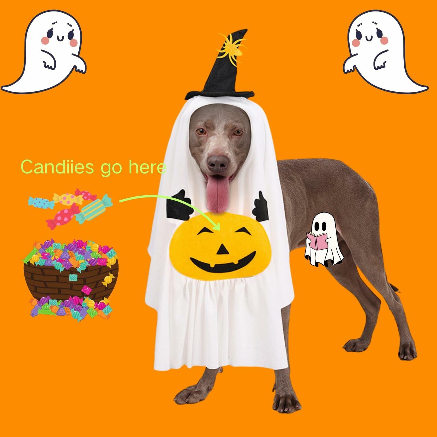 Dog Cat Halloween Pumpkin Ghost Costume Funny Cute Pet Outfit
