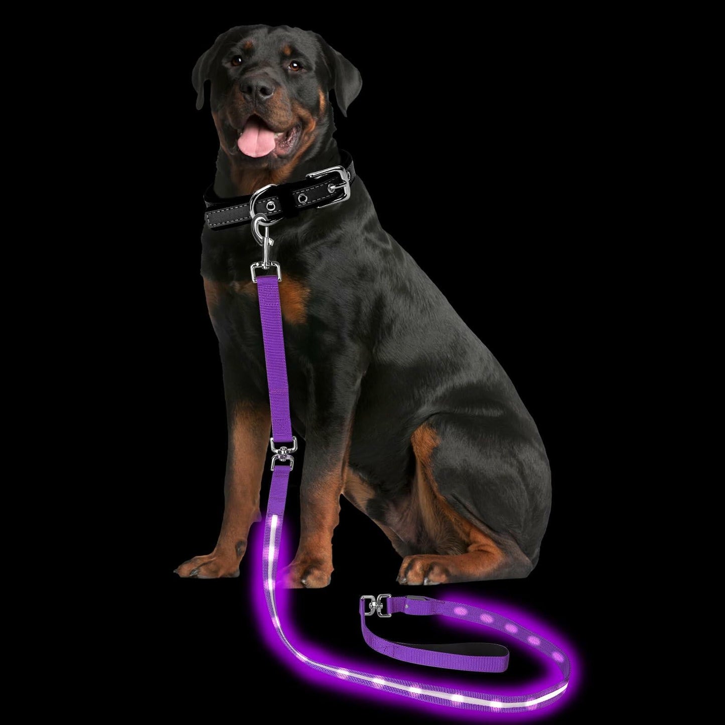 PetIsay Light-Up Dog Leash 6FT USB-C Rechargeable Waterproof