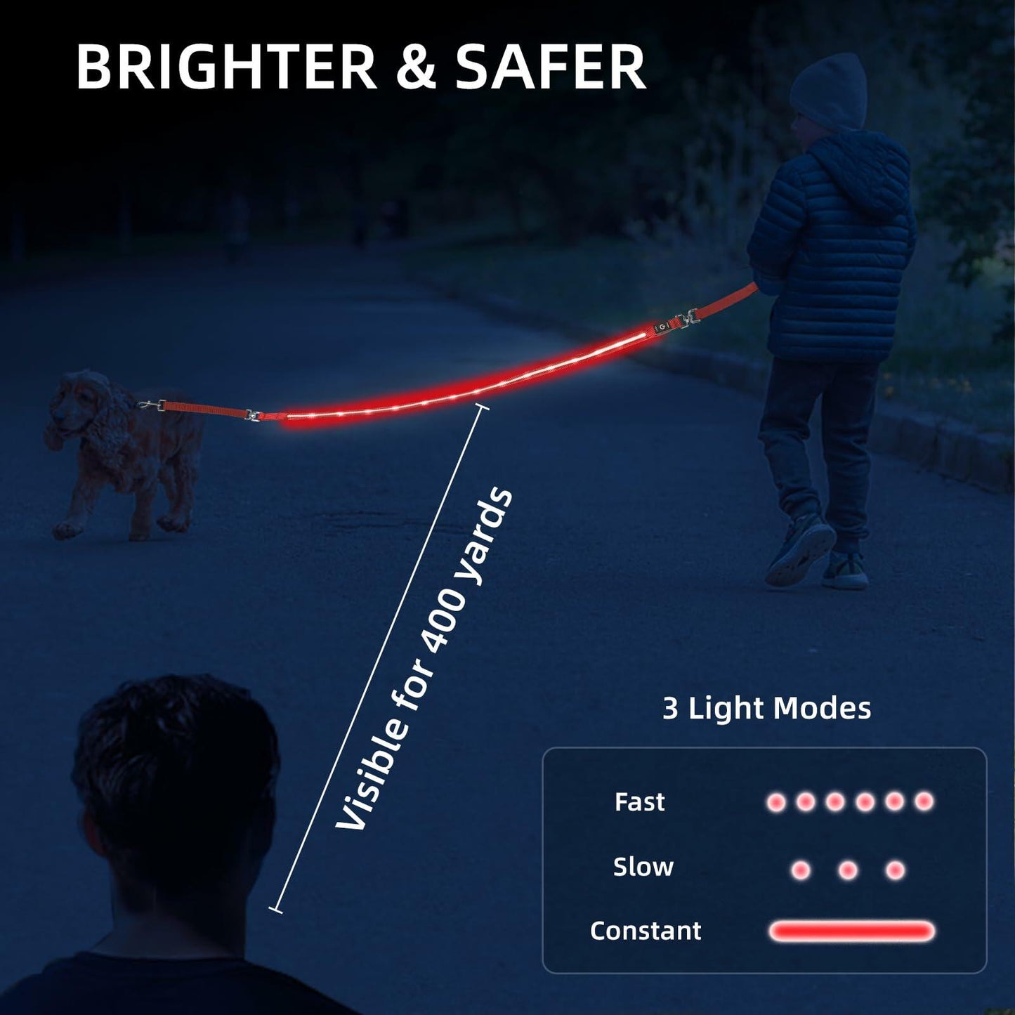 PetIsay Light-Up Dog Leash 6FT USB-C Rechargeable Waterproof