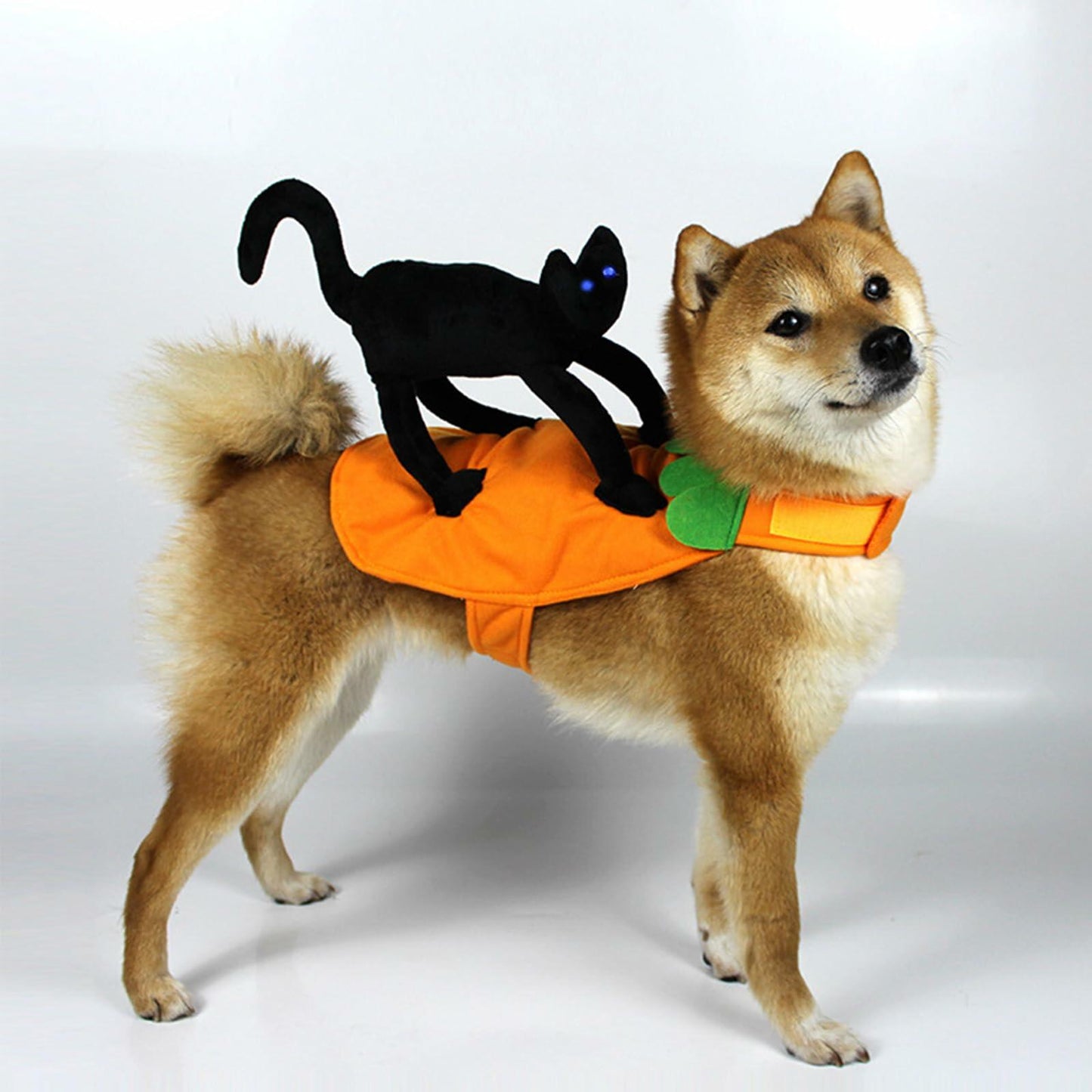 stepsin Dog Saddle Halloween Cat Knight Cosplay Costume Polyester