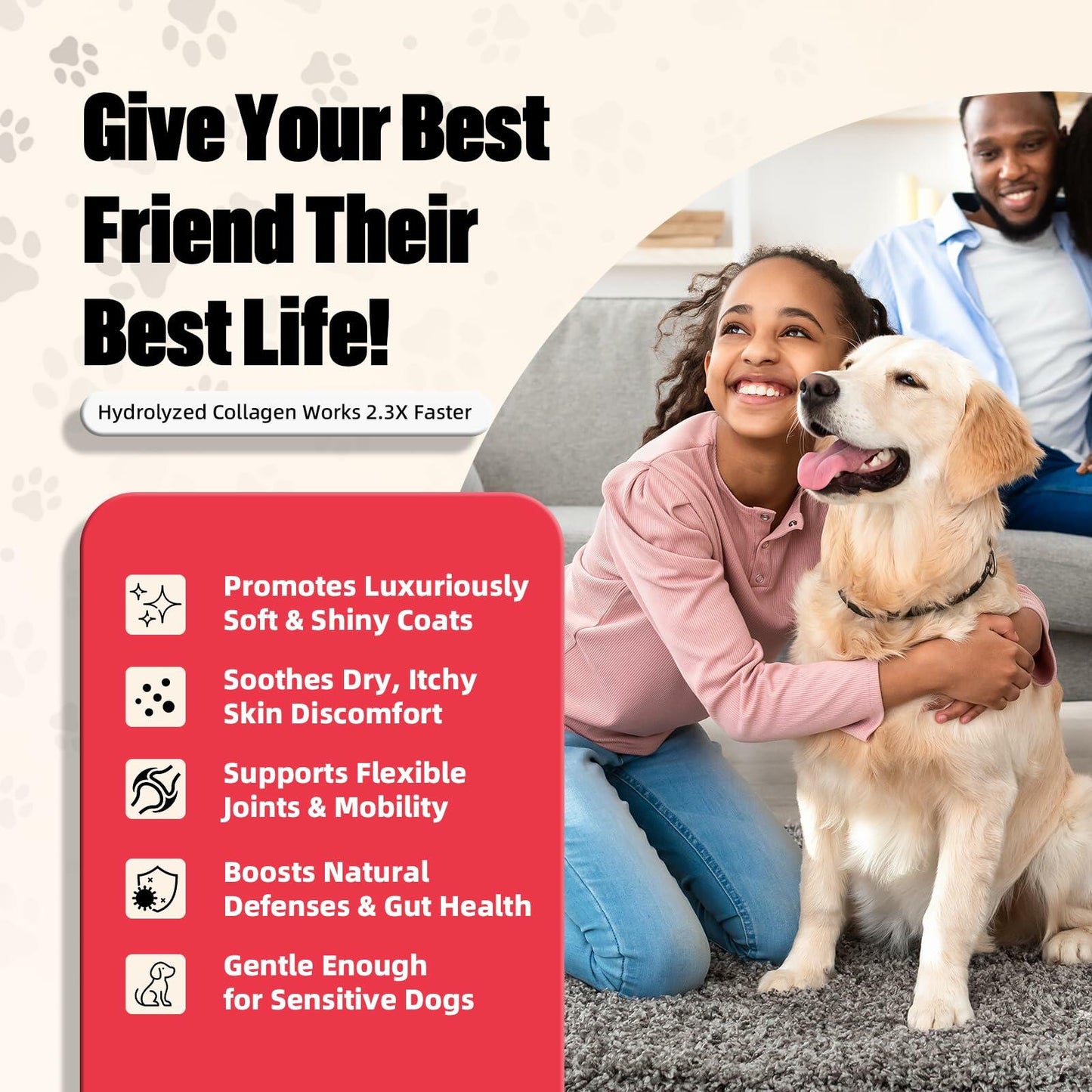 Dog Supplement-Orsacchiotto Collagen Chews for Joint Health