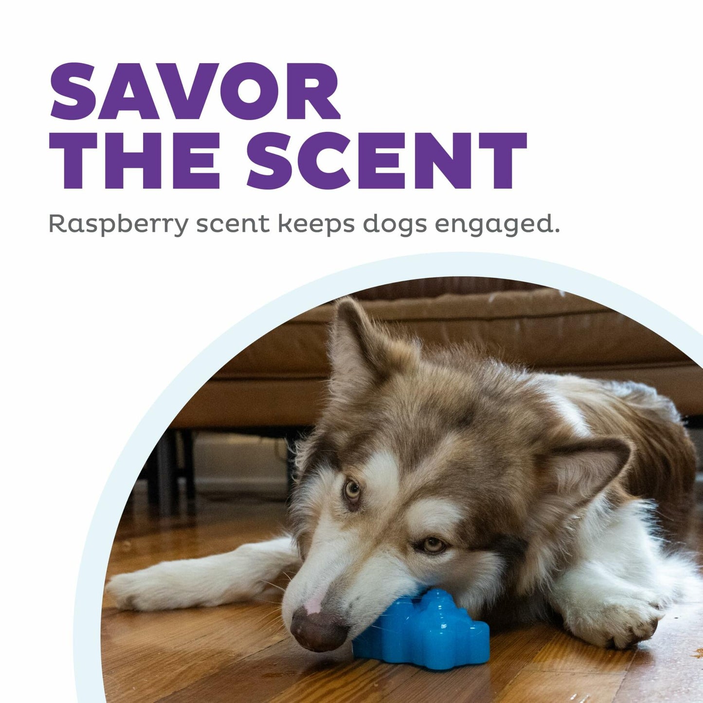 Outward Hound Gummiez Bear Dog Toy  Treat Stuffer 4.7 Blue