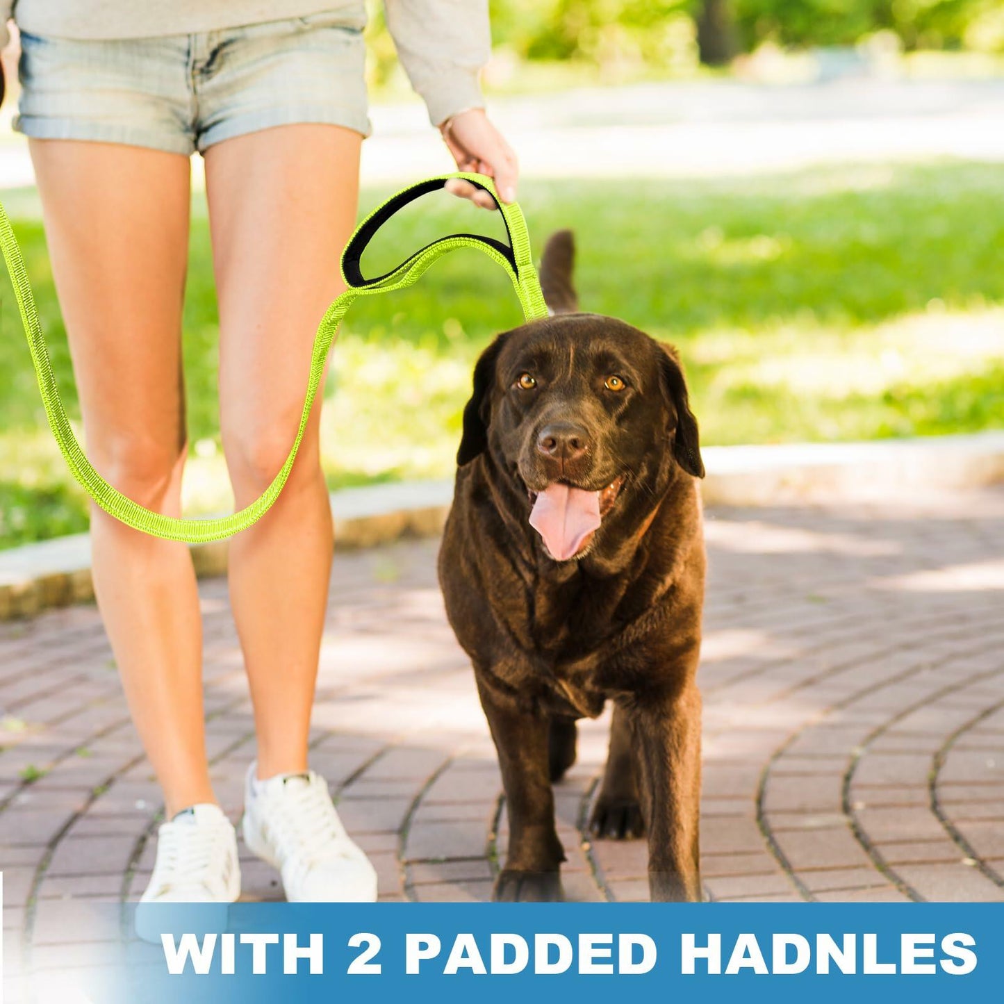 Htnlbqy Dog Leash Large Nylon Reinforced Reflective 5FT Brig