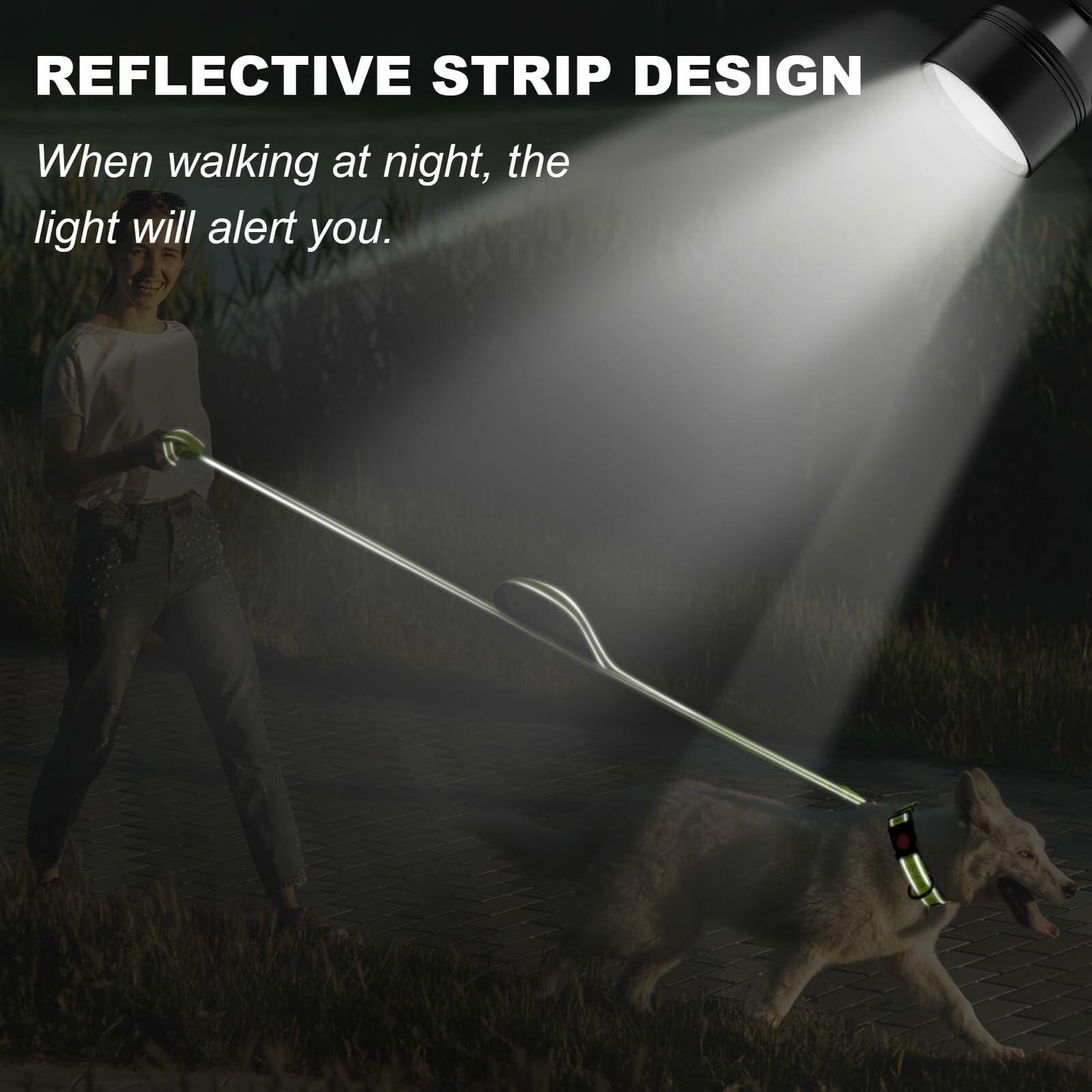 Htnlbqy Dog Leash Large Nylon Reinforced Reflective 5FT Brig