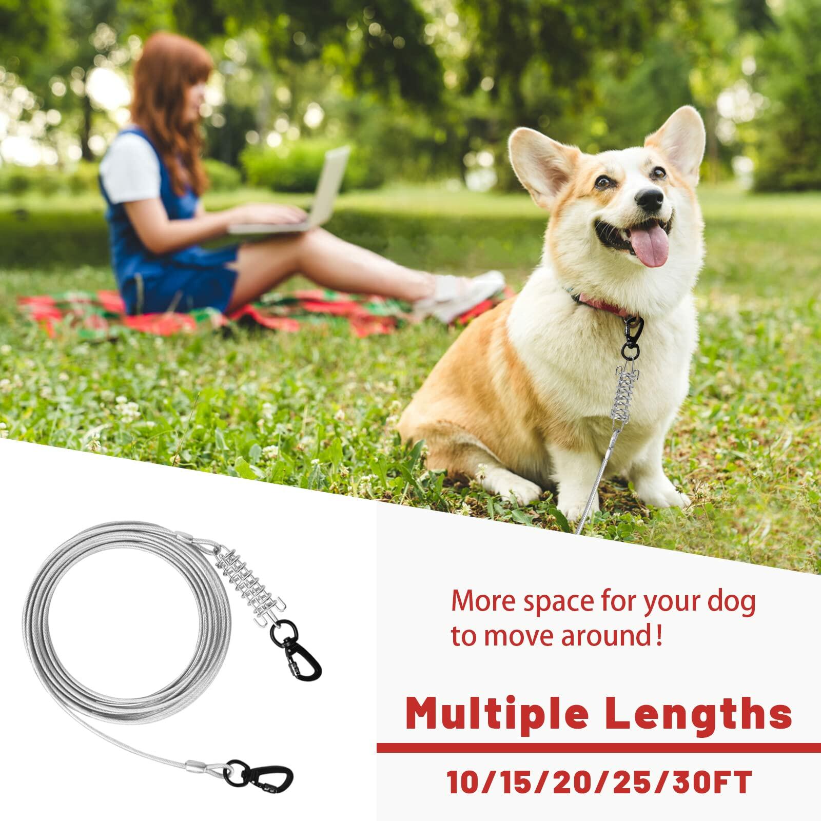 HaiYUAN Dog Tie Out Cable Steel Wire with Clips Blue 10-30 F