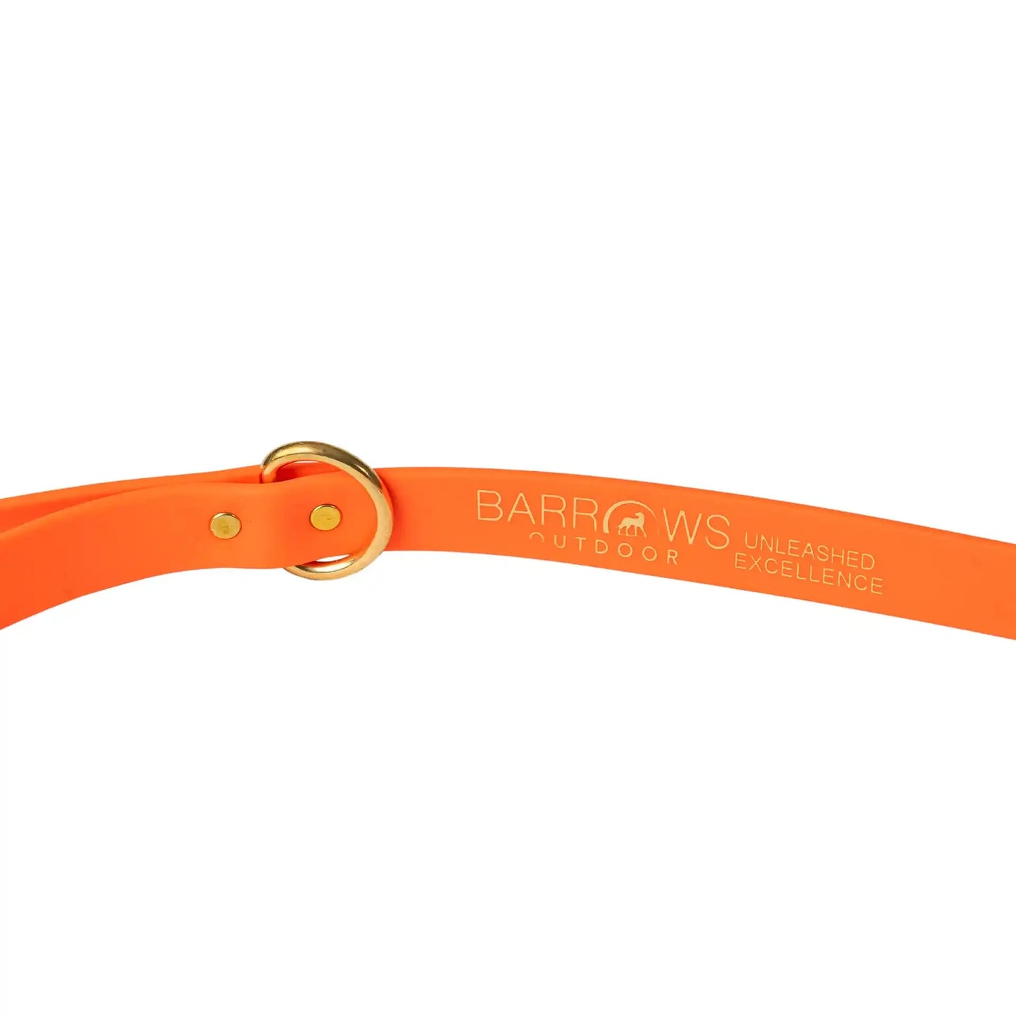 Barrows Dog Leash - Orange | Purrfect Pet Kingdom