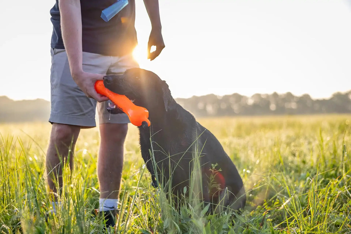 Barrows Training Bumper Pack - Orange | Purrfect Pet Kingdom
