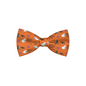 Purrfect Pet Kingdom Orange Halloween Dog Collar Bow Default Title Purrfect Pet Kingdom