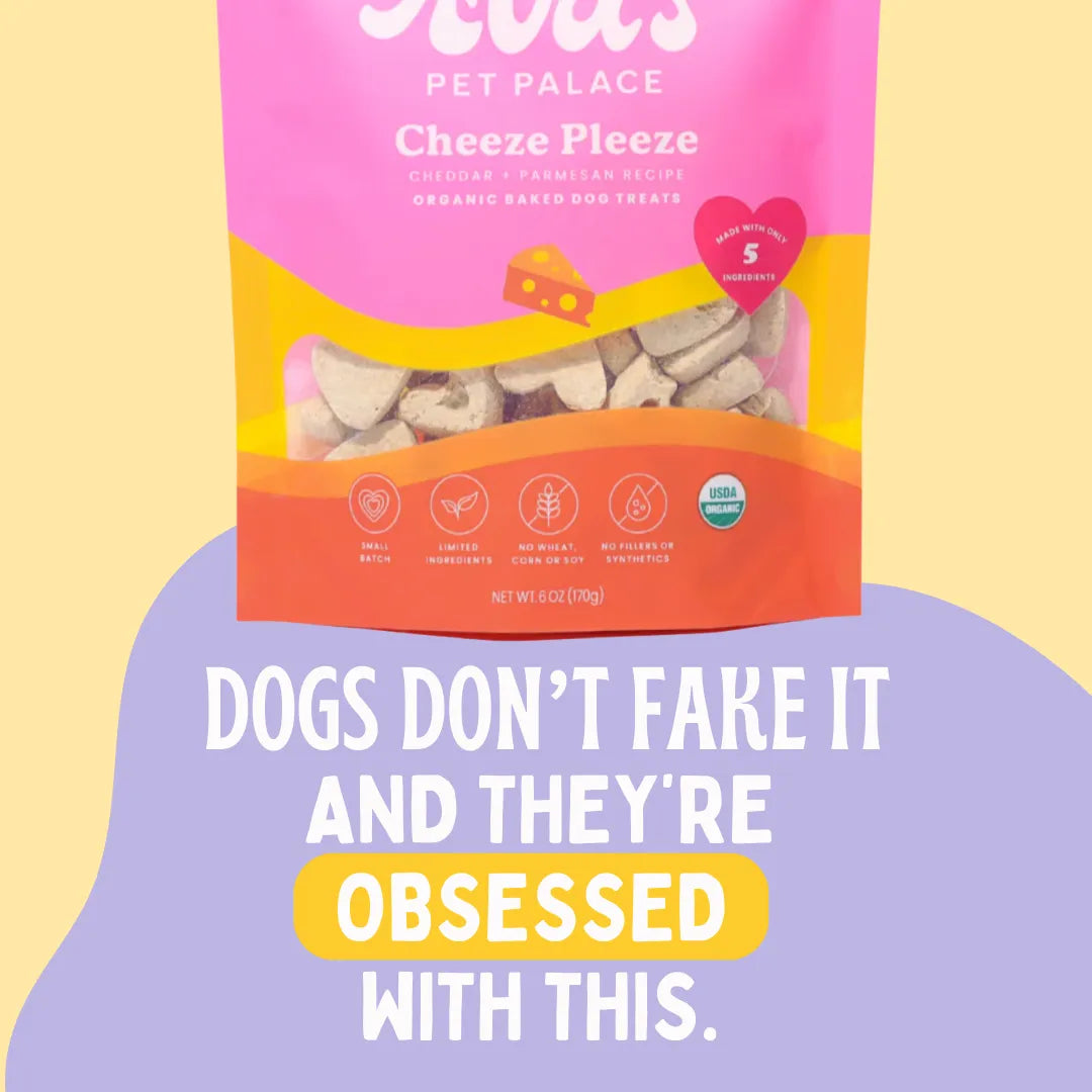 Organic Baked Dog Treats - Cheeze Pleeze by Ava's Pet Palace, 8.99, crunchy golden treats perfect for dogs.
