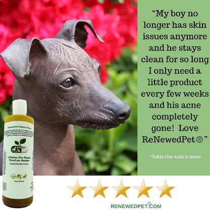 Organic Conditioner for Hairless Pet Skin by ReNewedPet, 8oz, budget-friendly shampoo for cats, perfect for new arrivals.