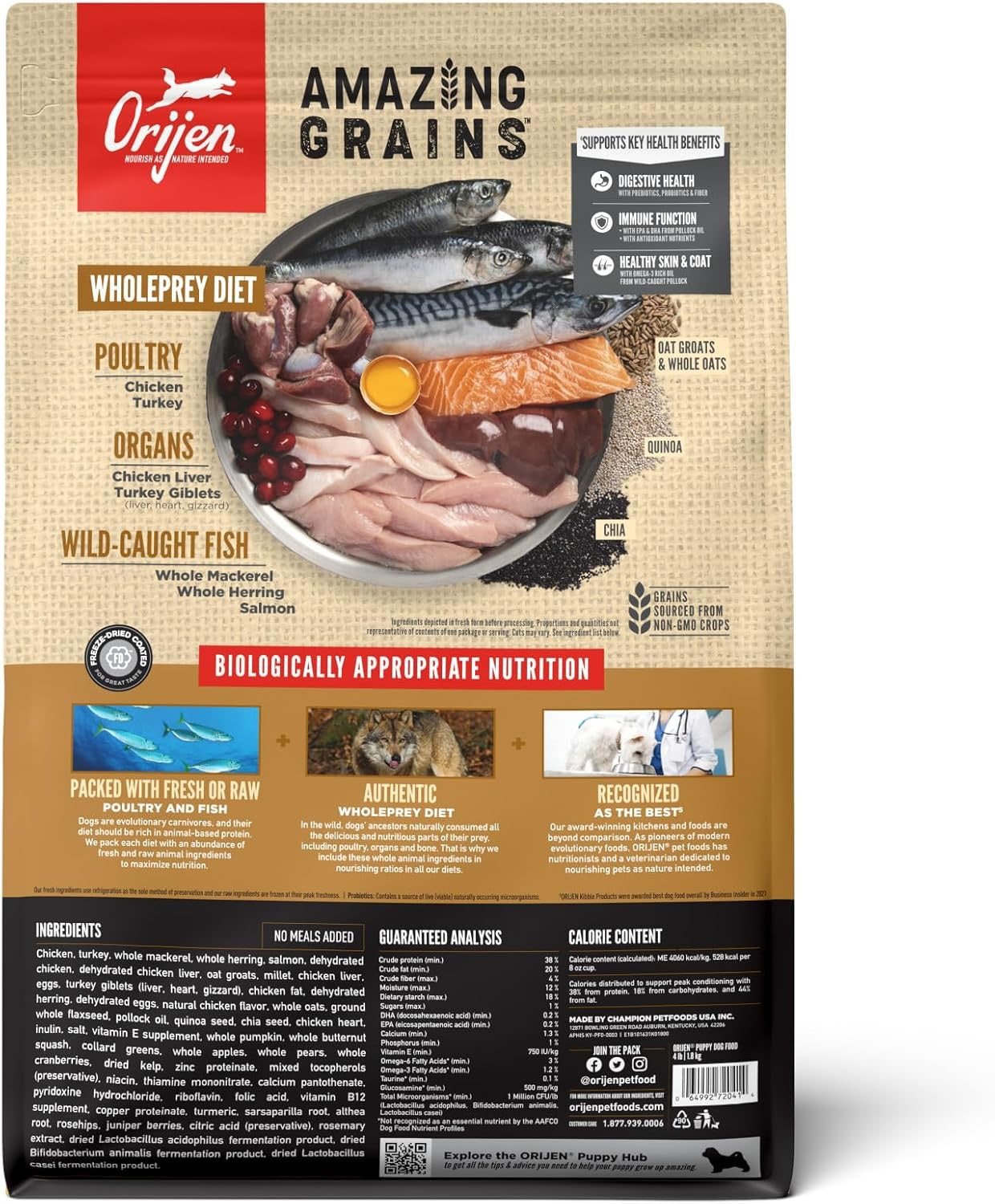 Orijen Amazing Grains puppy food with wholeprey ingredients like poultry and wild-caught fish for optimal nutrition