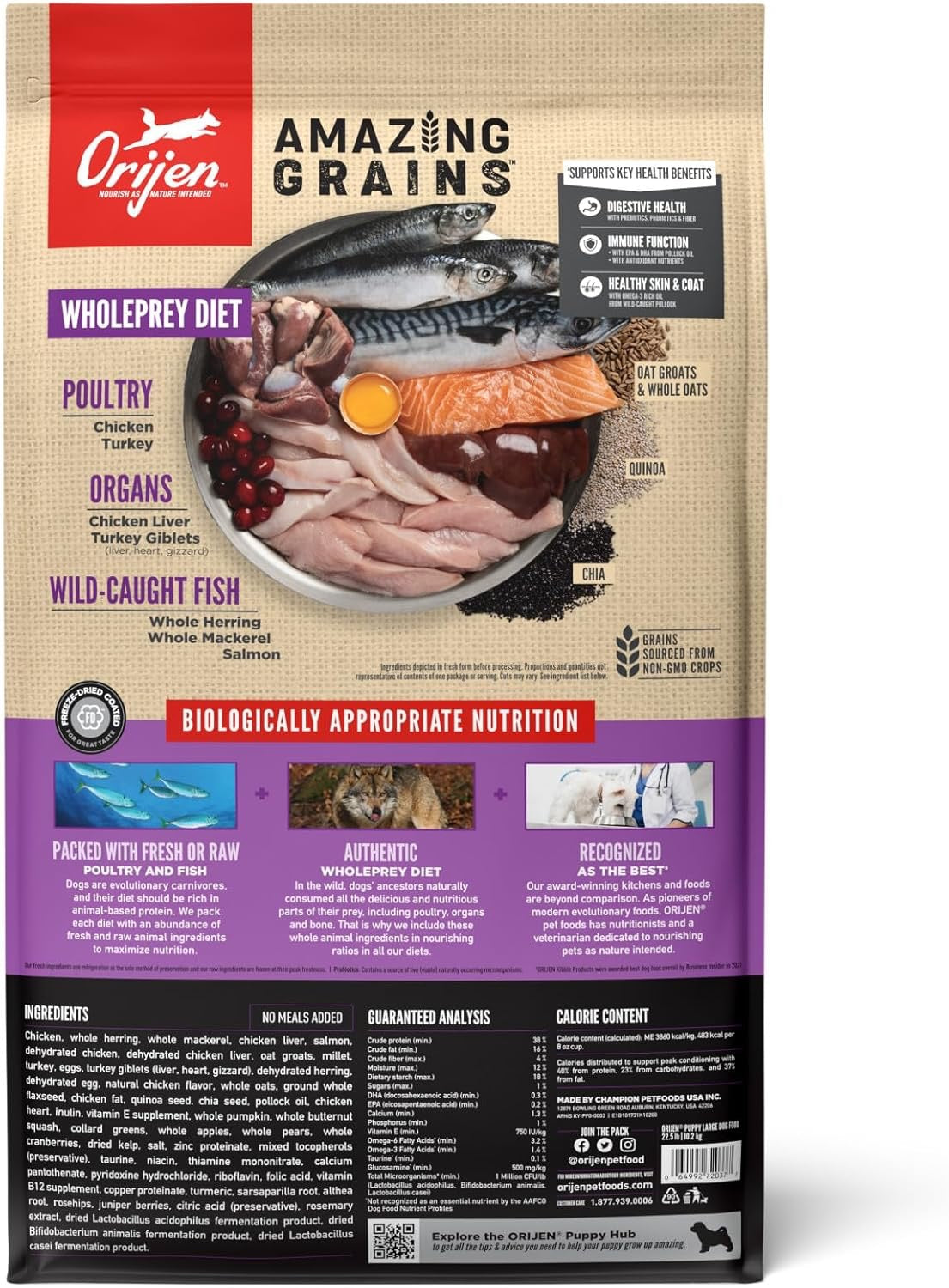 Orijen Dry Dog Food bag featuring large breed puppy grain dog food with wholeprey diet ingredients