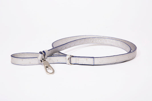 Dog Leash-Small, Metallic Ostrich