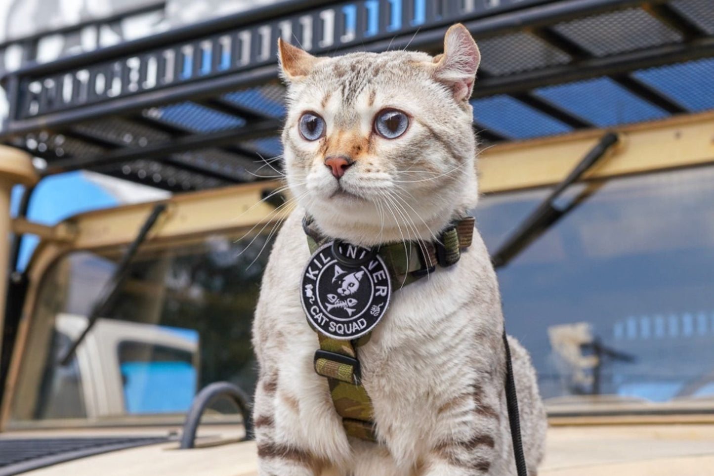 CAT SQUAD Morale Patch