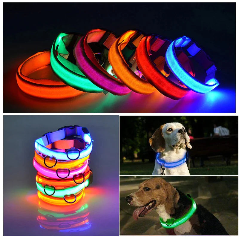 Royal Luminous Safety Pet Collar Adjustable LED Night Visibility 💡👑