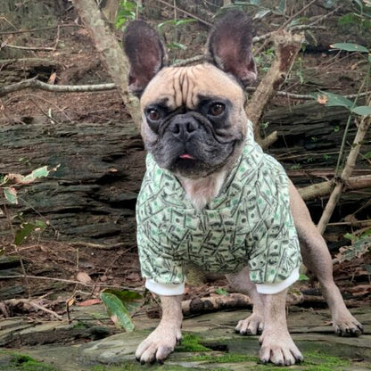 Dog Hoodie Money Print Funny Pet Clothes 💵