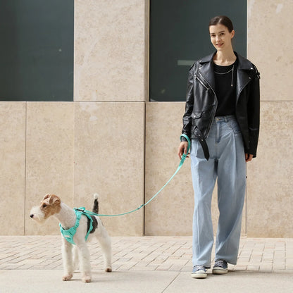 Pehomnyc padded active dog leash in mint green, 5ft, reinforced webbing, available in sizes M ($15.49) and L ($16.99).