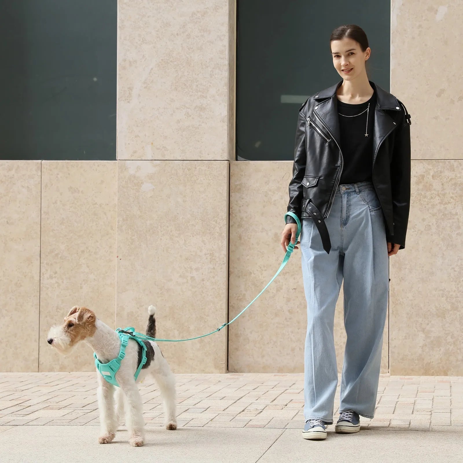 Pehomnyc padded active dog leash in mint green, 5ft, reinforced webbing, available in sizes M ($15.49) and L ($16.99).