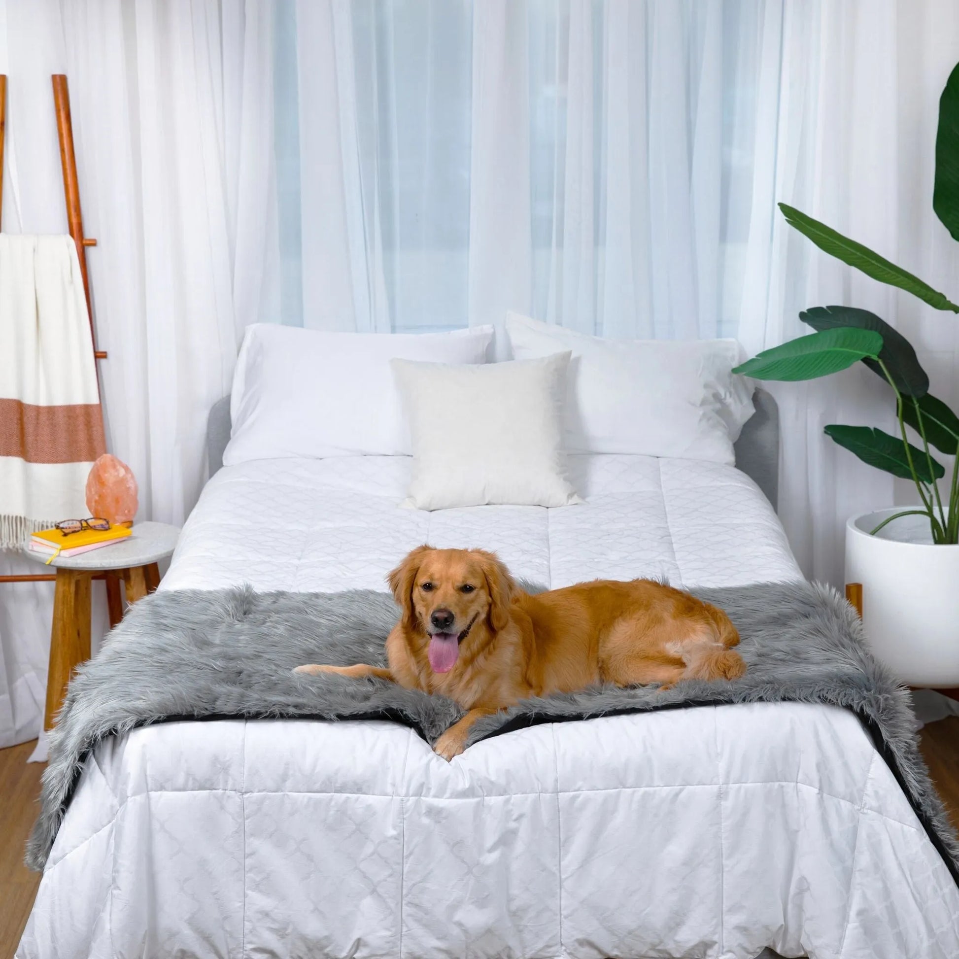 Paw.com - PupProtector™ Waterproof Bed Runner - Charcoal Grey - Dog Blanket