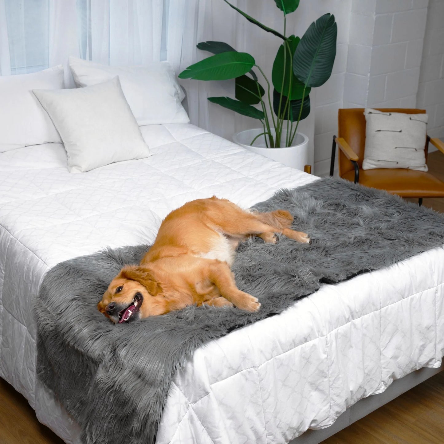 Paw.com - PupProtector™ Waterproof Bed Runner - Charcoal Grey - Dog Blanket